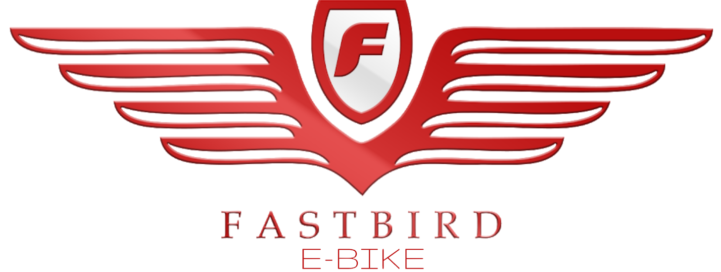 bird e bike
